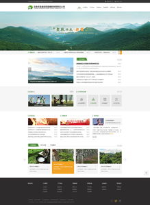 奧遠(yuǎn)科技 云南昆明網(wǎng)站建設(shè)與網(wǎng)絡(luò)服務(wù)專(zhuān)家