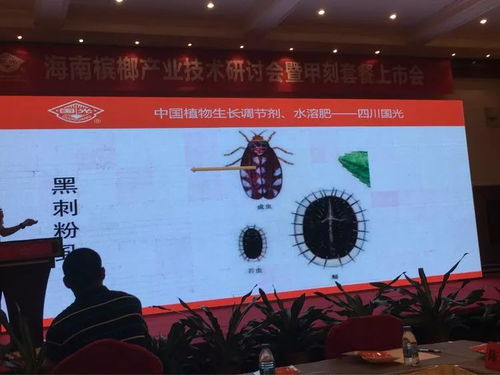 創新驅動，合作共贏 2018檳榔產業技術研討交流會之軟件開發篇